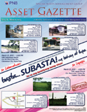 Asset Gazette March 2013