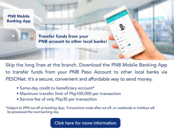 Pnb singapore forex